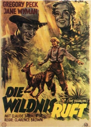 Die Wildnis ruft 1946