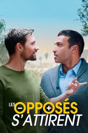 Poster Les Opposés s'attirent 2020