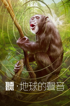 聽，地球的聲音