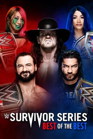 Poster WWE Survivor Series 2020 (2020)