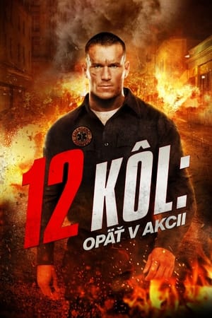 Poster 12 kôl: Opäť v akcii 2013