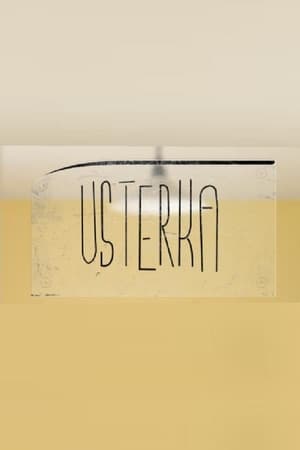 Poster Usterka 2002