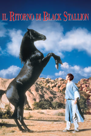 Poster di Il ritorno di Black Stallion