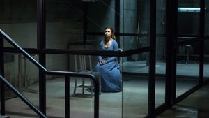 Westworld – Dove tutto è concesso – 1 stagione 9 episodio