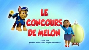 Le concours de melon