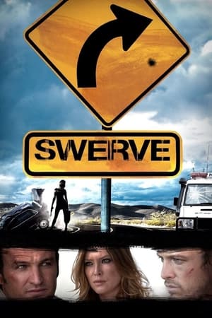 Poster Swerve 2012