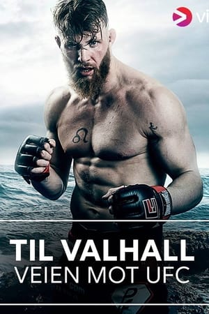 Poster To Valhalla (2016)