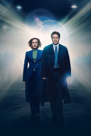 X-Files : Aux frontières du réel - poster n°2
