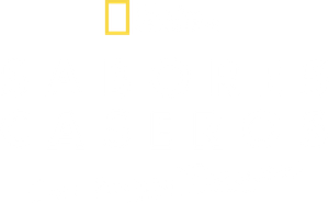 Sabor Caseiro com Antoni Porowski — Logos 5