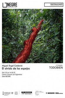 El olvido de los espejos