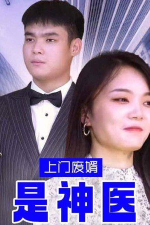 上门废婿是神医
