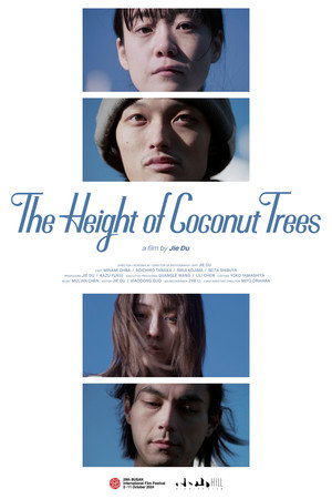 The Height of the Coconut Trees 5