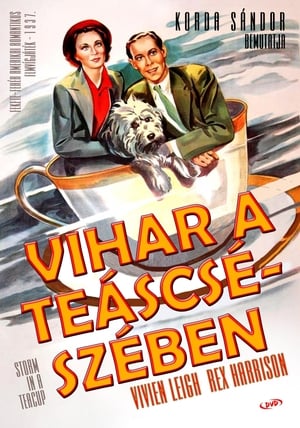 Poster Vihar a teáscsészében 1937