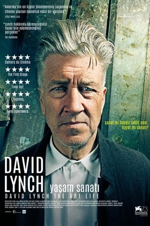 Image David Lynch: Yaşam Sanatı