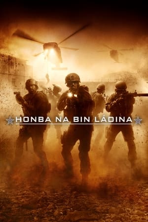 Poster Honba na bin Ládina 2012