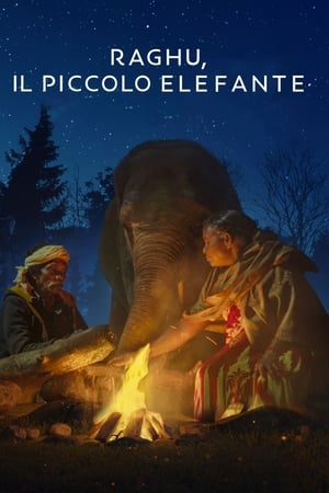 Poster Raghu, il piccolo elefante 2022