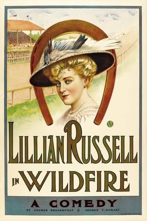 Poster Wildfire (1915)