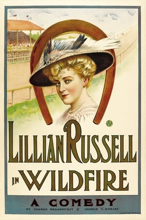 Poster Wildfire 1915