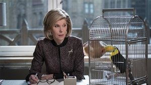 The Good Fight: 4×4