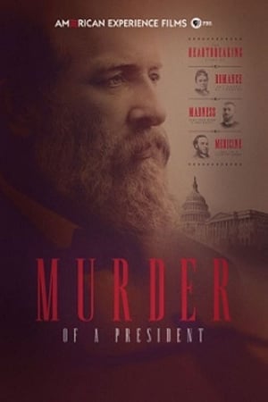 Murder of a President - Movie poster