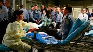 Grey’s Anatomy 11 x Episodio 18