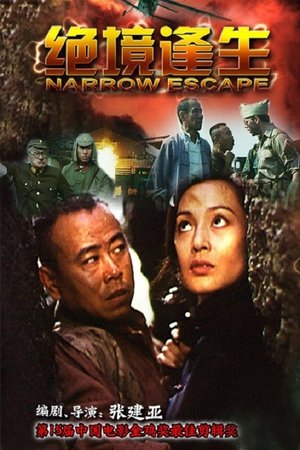 Poster 绝境逢生 1994