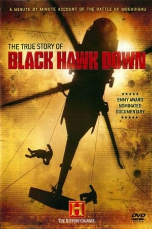 Poster The True Story of Black Hawk Down 2003
