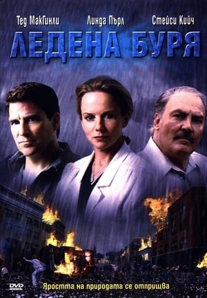 Poster Ледена буря 2003