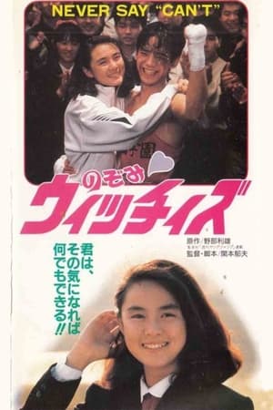 Poster Nozomi Witches (1990)