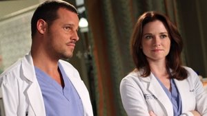 Grey’s Anatomy 7 x Episodio 8