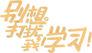 Don't Disturb My Study