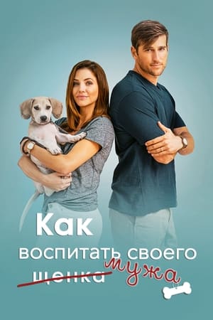 Как воспитать мужа (2018)