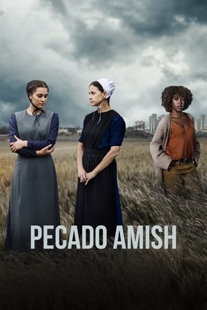 Image An Amish Sin