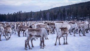 The Land of the Snow and Ice