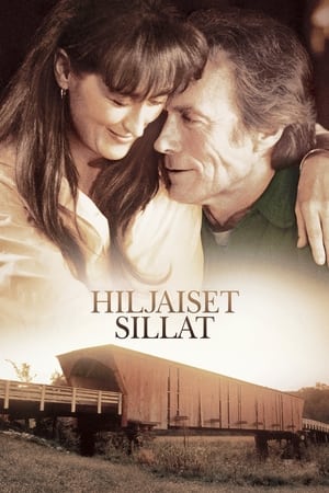 Hiljaiset sillat (1995)