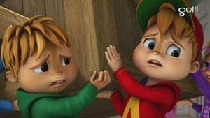 Épisode 41