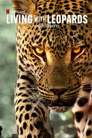 Image Жизнь леопардов