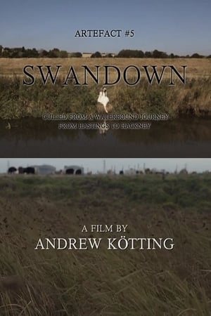 Poster Artefact #5: Swandown – Culled from a Waterbound Journey from Hastings to Hackney (2012)