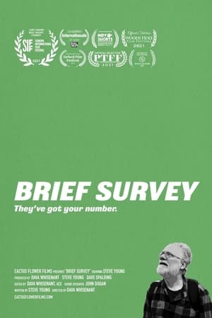Poster Brief Survey (2021)