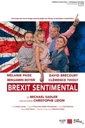 Image Brexit Sentimental