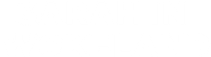 Sarah in Wokeland — Logos 1