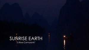 Li River Cormorants | StreamHub