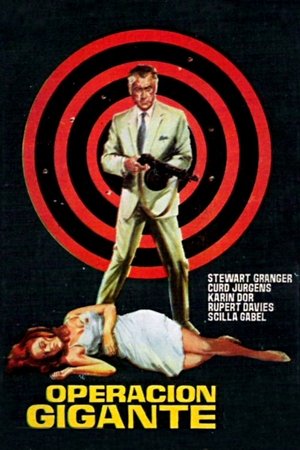 Target for Killing poster