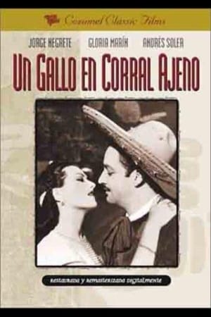 Poster Un gallo en corral ajeno (1952)