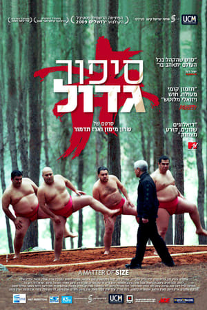 סיפור גדול (2009)