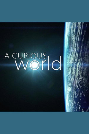 A Curious World