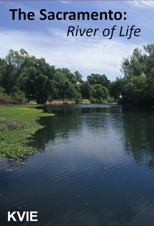 Poster The Sacramento River of Life ()