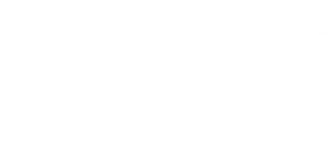 Roller Blade Warriors: Taken by Force