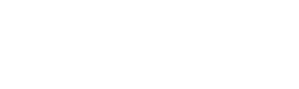 Avatar อวตาร