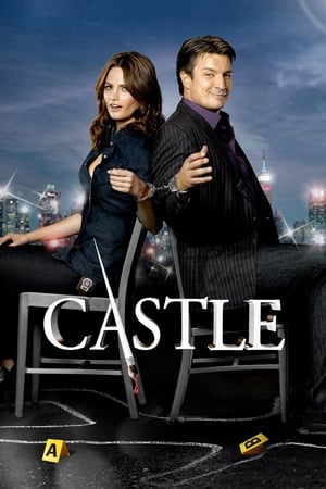 Castle: Sezon 3
